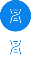 設(shè)計(jì)、樣線(xiàn)開(kāi)發(fā) 定型及試驗(yàn)